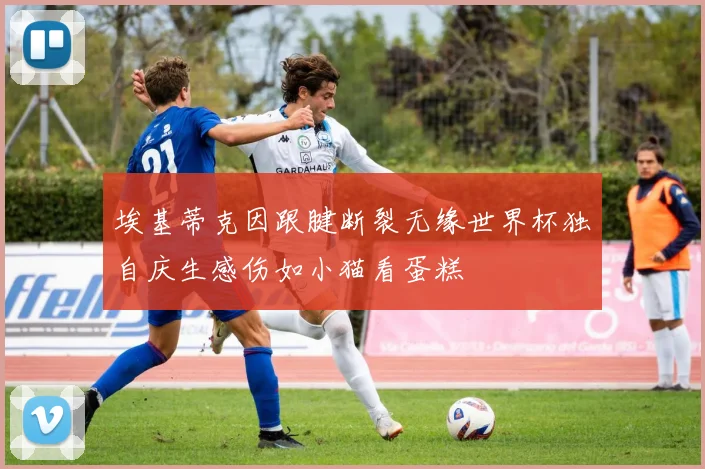 埃基蒂克因跟腱断裂无缘世界杯独自庆生感伤如小猫看蛋糕