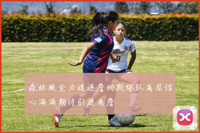 森林狼全力追逐詹姆斯球队高层信心满满期待引进老詹